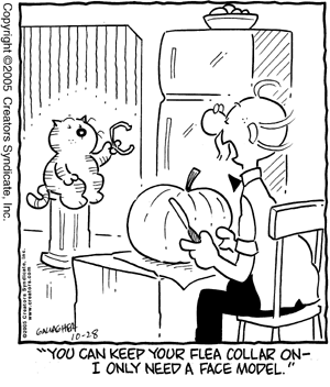 heathcliff